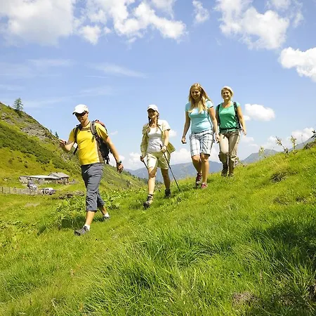 Almliesl Zell-411 滨湖采尔