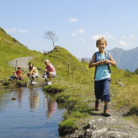 Almliesl Zell-411 * Zell am See
